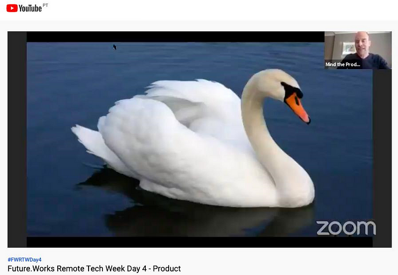 Screenshot of a zoom presentation with a swan