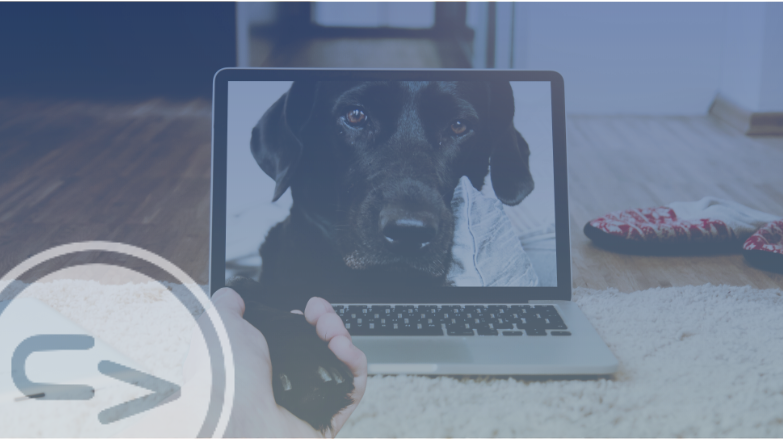 The Benefits of Remote User Research