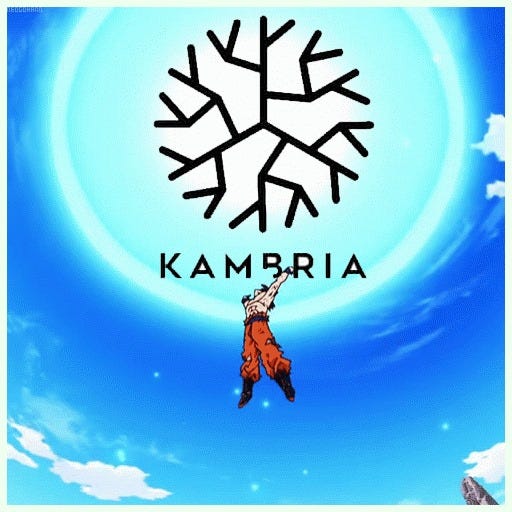 Kambria sticker contest winners
