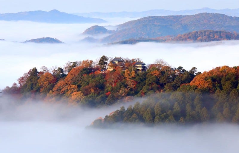 Okayama Prefecture’s Bitchu-Matsuyama Castle floats above the clouds in the valley basin below