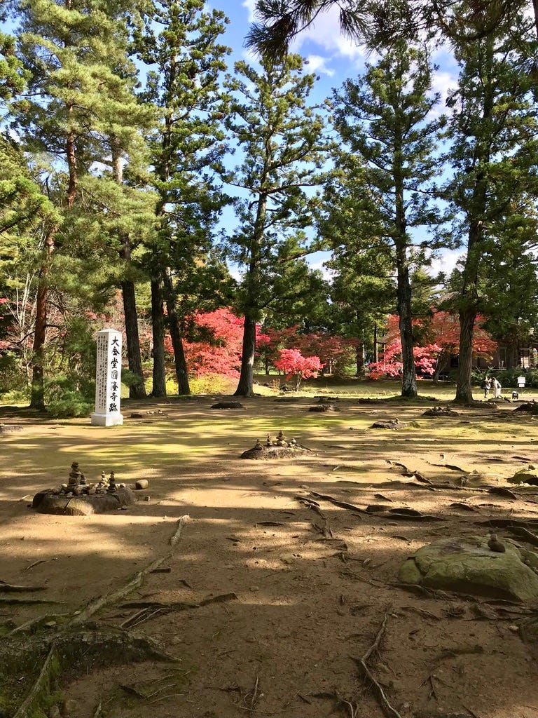 Field with foundation stones of a former temple, surrounded by trees.