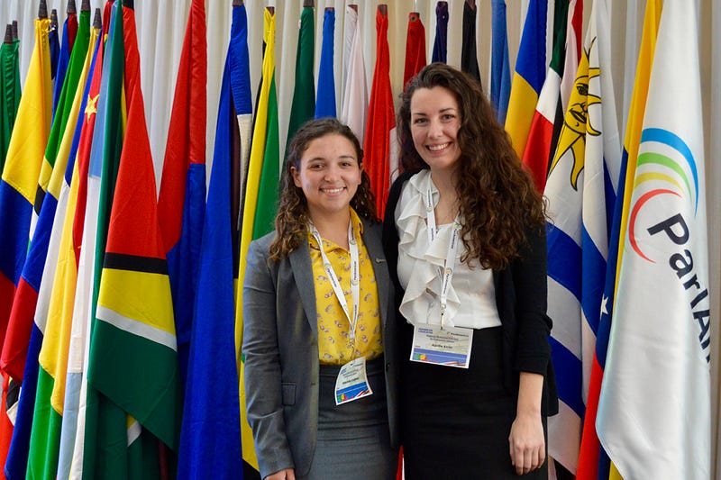 Clinic Explores Citizen Participation In Lawmaking At Parliamentary Conference