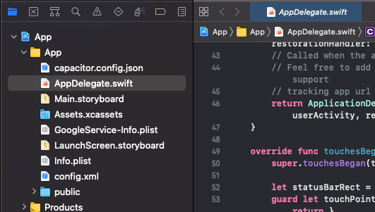 Make sure XCode shows the GoogleServices-Info.plist added
