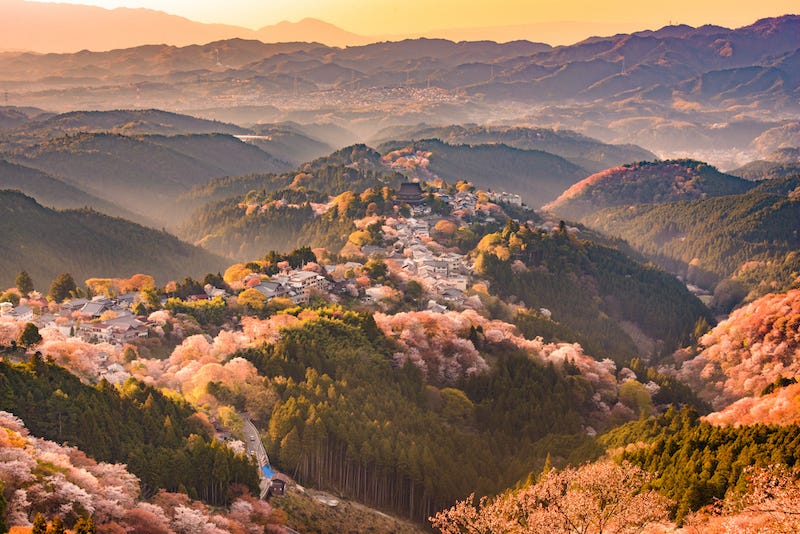 Nara Prefecture’s Mt. Yoshino during cherry blossom season