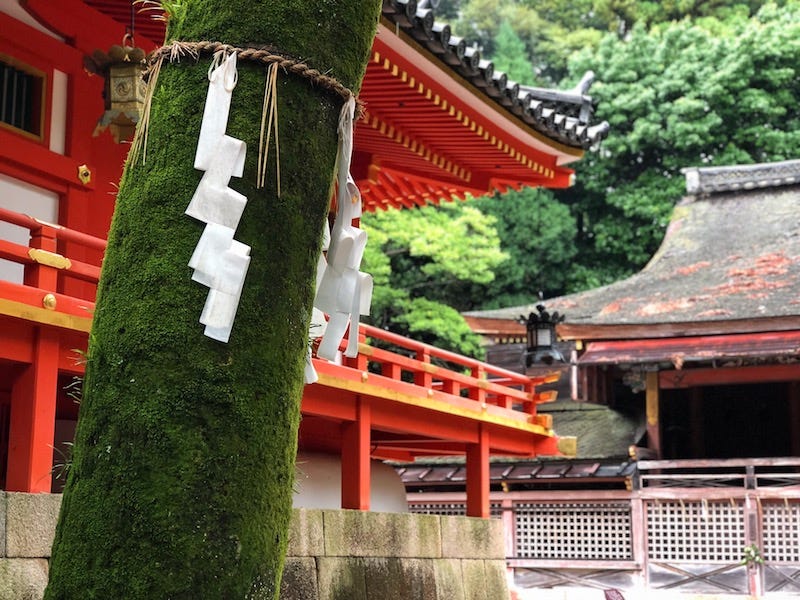 Kyoto’s Iwashimizu Hachimangu, a branch shrine of Usa Jingu in Oita Prefecture