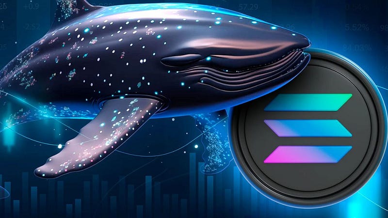 Why Did a Solana Whale Liquidate $86 Million in 2024’s SOL Token?