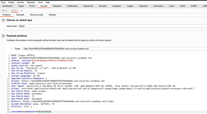 burp suite intruder