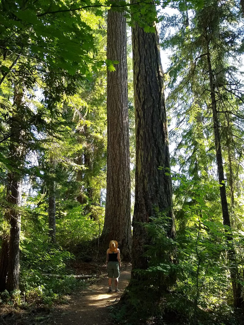 Image: author in front of a tree