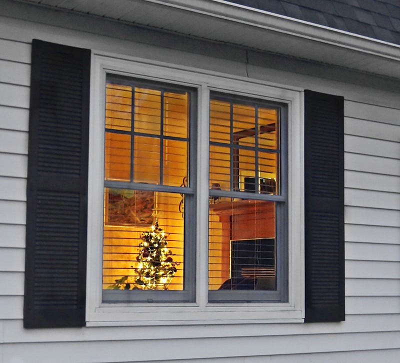 Small Christmas tree through the front window of a house.