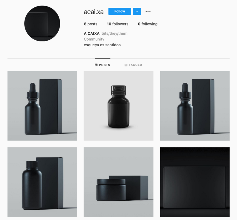 Essa captura de tela mostra o perfil do instagram do produto criado. O perfil está disponivel pelo nome de @acai.xa