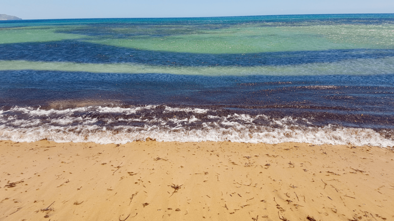 The photo shows a polychromatic seashore on the Mediterranean coast in Southern Spain: yellow sand and dark algae on the shore. Little white waves, dark blue, turquoise, and green tones color the water — a light blue sky on the horizon.