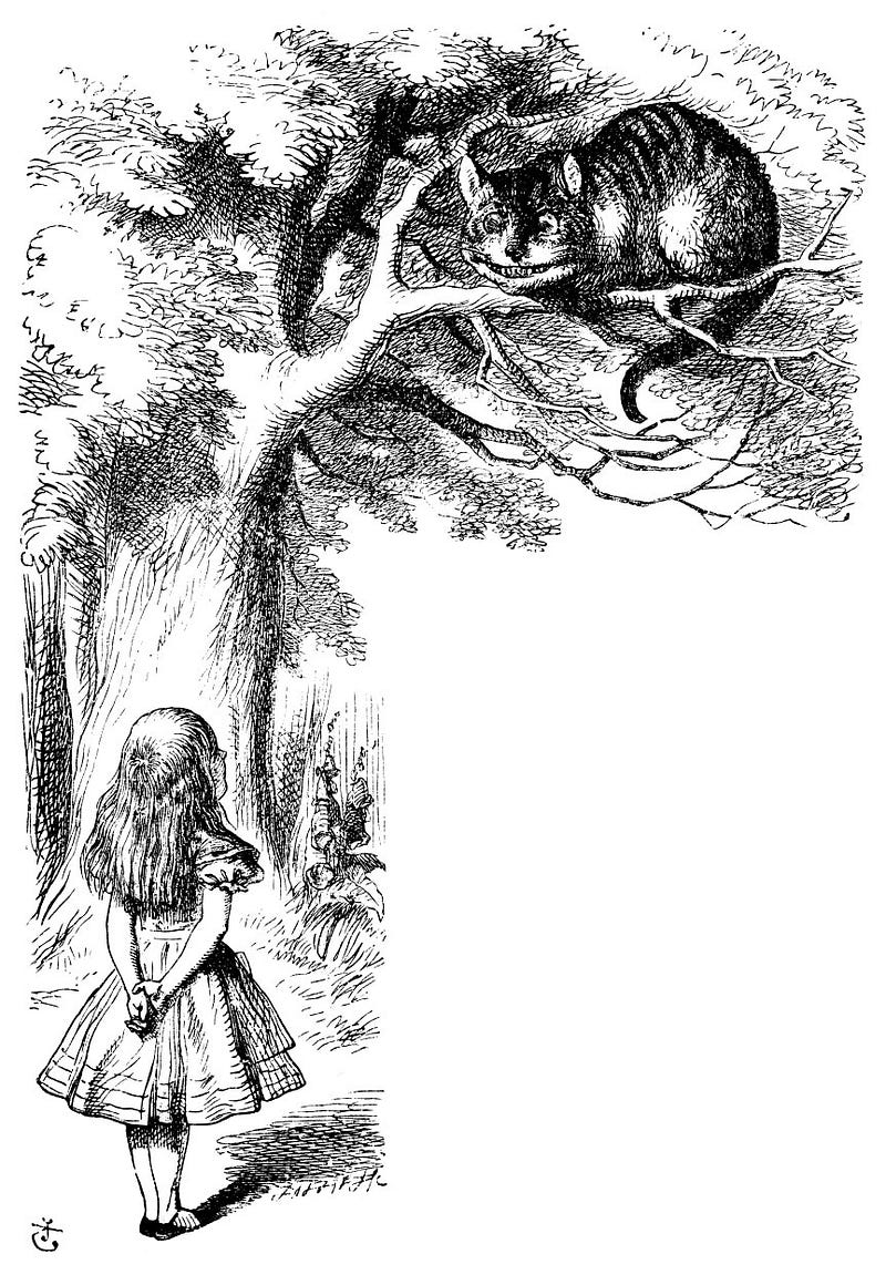 Sir John Tenniel’s Classic Illustrations of Alice’s Adventures in ...
