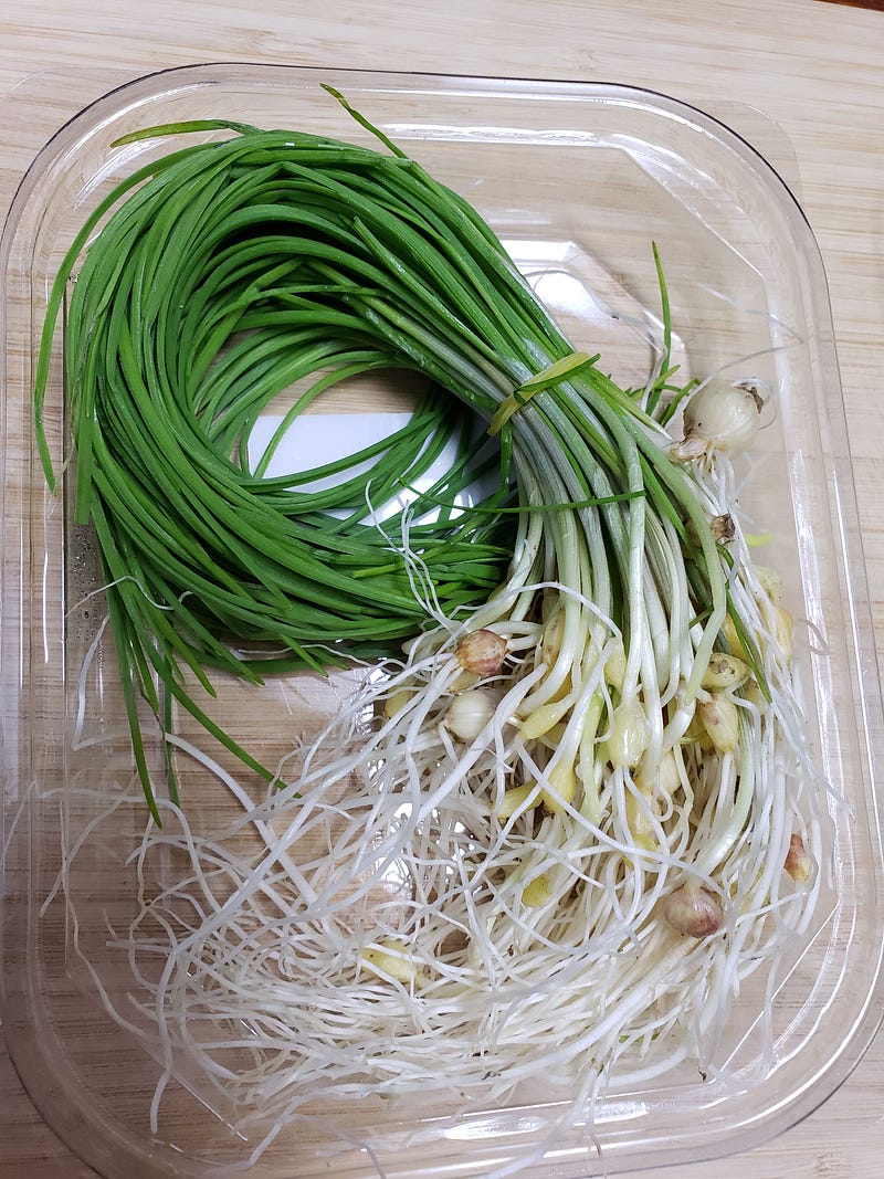 Korean Wild Chives, Dallae (달래)