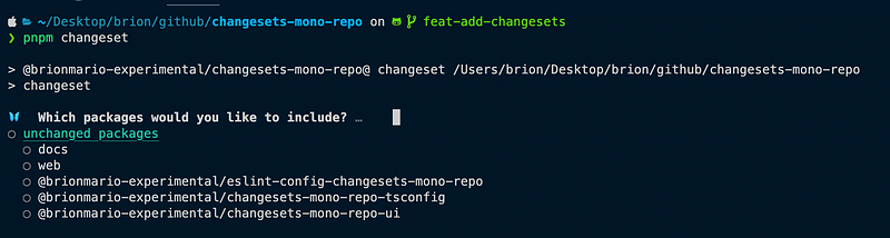 Prompt 01: Terminal output of generating a changeset