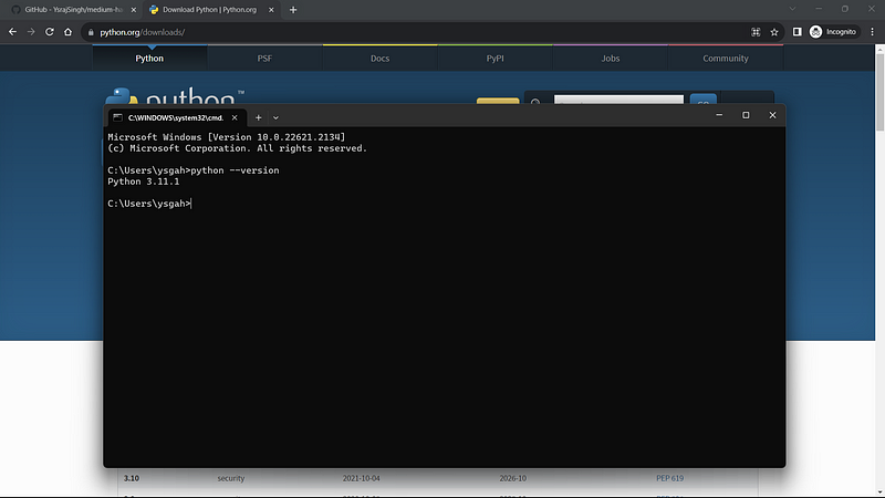 Python Version Check
