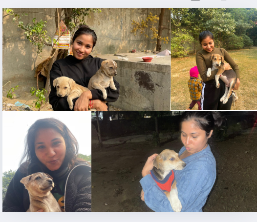 A collage of author with puppies