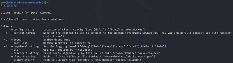 This should show up if Docker is properly installed