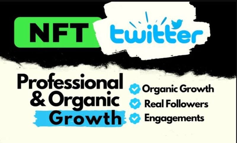 I will be your superfast nft Twitter influencer with 400k dms to promote your nft page