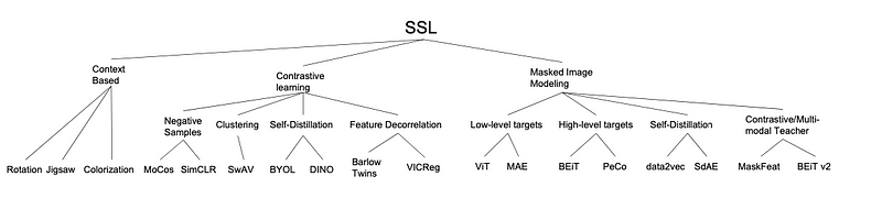 Illustration of an SSL algorithm in action, such as predicting missing parts of an image or the next word in a sentence, demonstrating how Self-Supervised Learning models understand data structure.