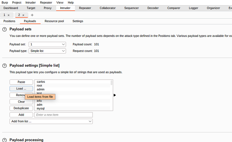 burp suite intruder brute force payload