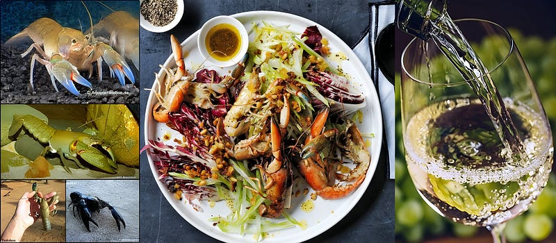 The Yabby: Australia’s Resilient Freshwater Crayfish
