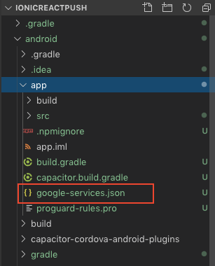Add google-services.json in your ionic-react capacitor project
