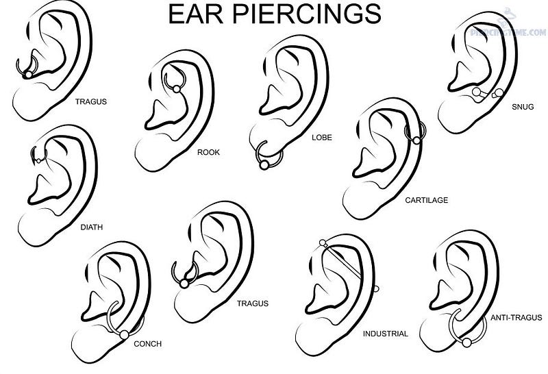 Top 7 Types of Ear piercings ida carlsson Medium