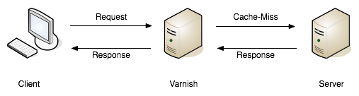 A request being returned early by a varnish server. — book.varnish-software.com