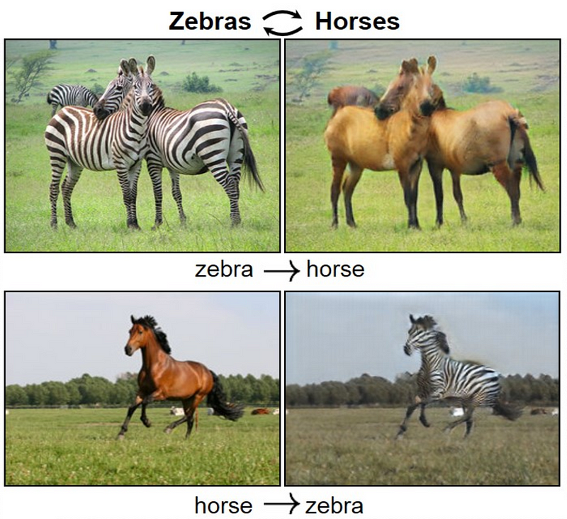 Hourses into Zebras