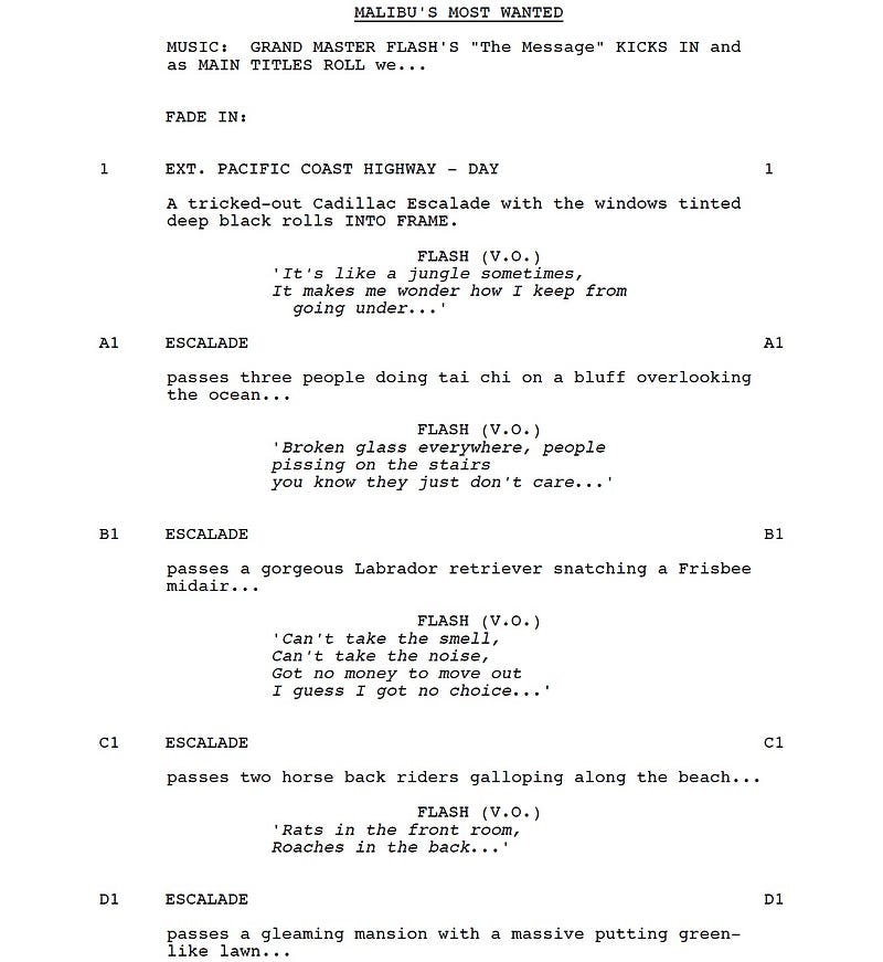Page One: “Malibu’s Most Wanted” (2003)