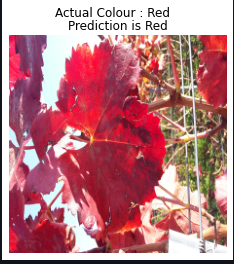 Red color prediction