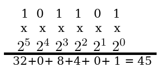 Representación de número binario