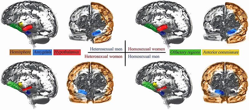 Is Homosexuality a Biological Disorder?