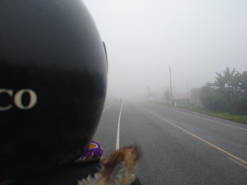 Teddy riding on a misty morning in Fort Portal.
