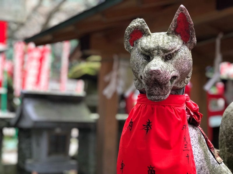 A fox statue at Kamakura’s Sasuke Inari Shrine in Kanagawa Prefecture