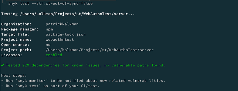Snyk test output in a terminal