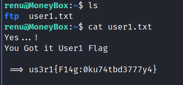 Going further deep into the machine as renu and finding new files and directories.