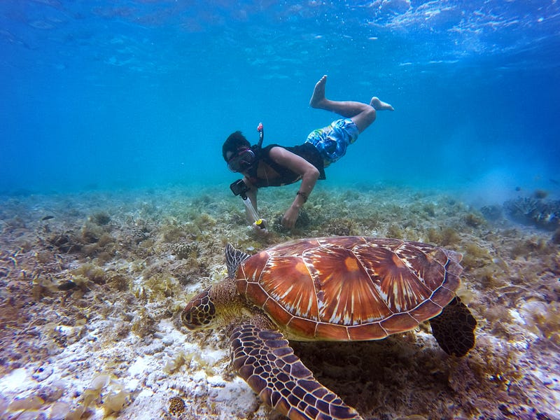 a man diving with a turtle at the bottom of the sea.