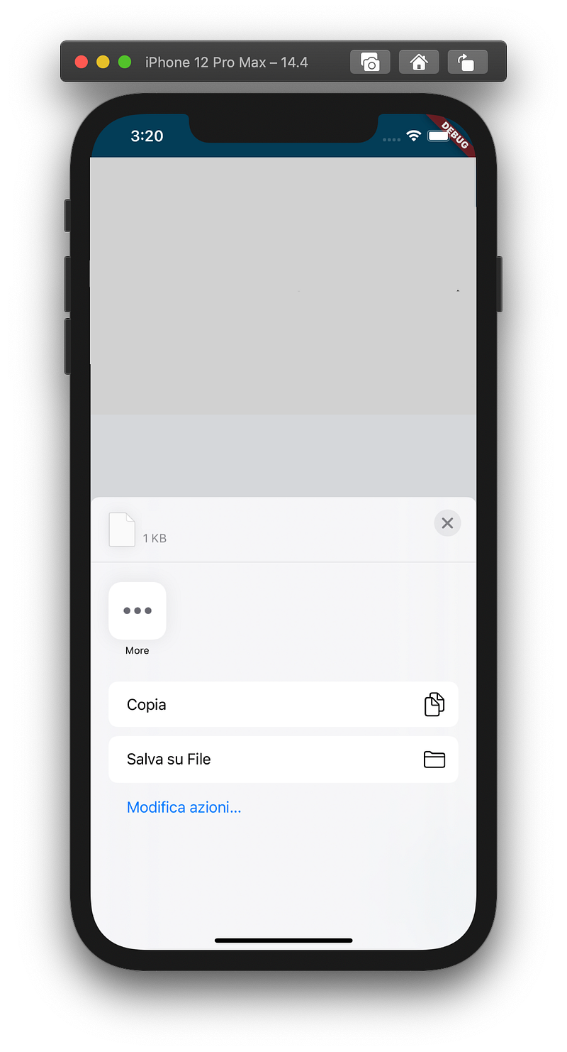 Dart Flutter export share JSON file or any file you like.