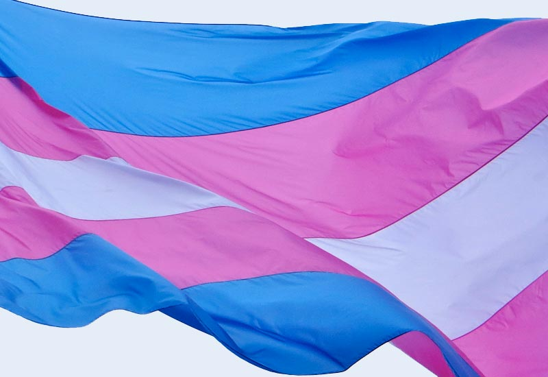 Resultado de imagem para bandeira trans
