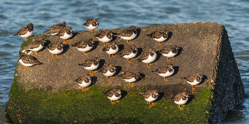 You should use a parser to parse!