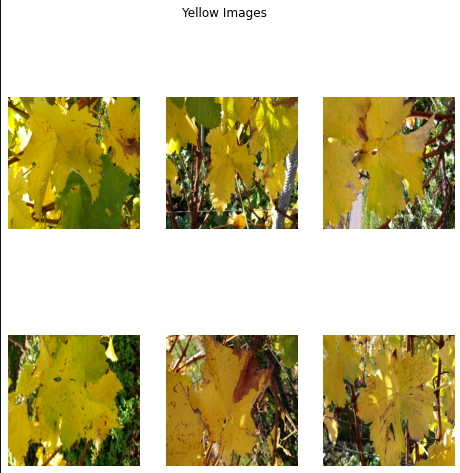 Displaying Yellow Leaves