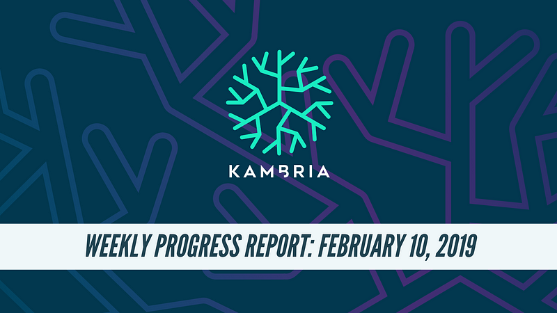 Kambria Weekly Progress Report: February 2019