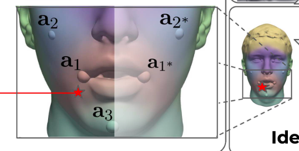 MLPs are defined for individual anchor points and combined to get the full-face SDF.