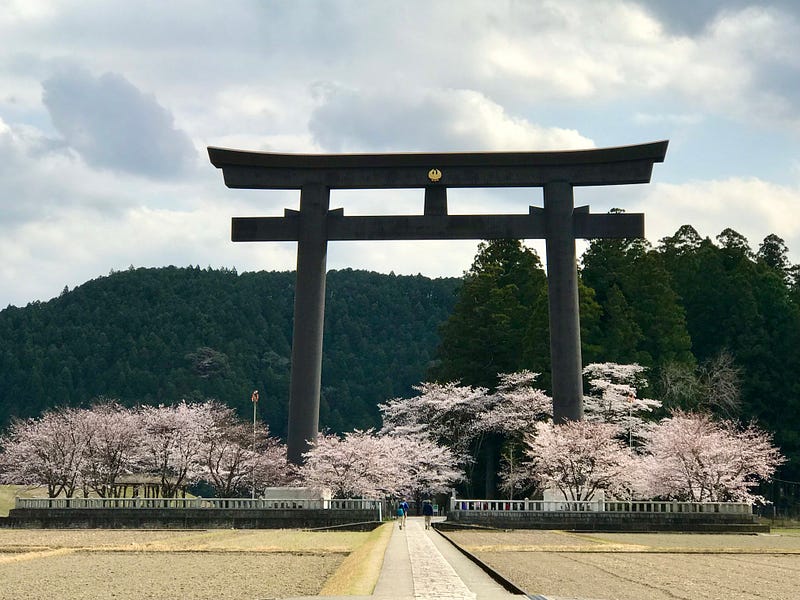 Huge Shinto torii gate surrounded by blossoming cherry trees.
