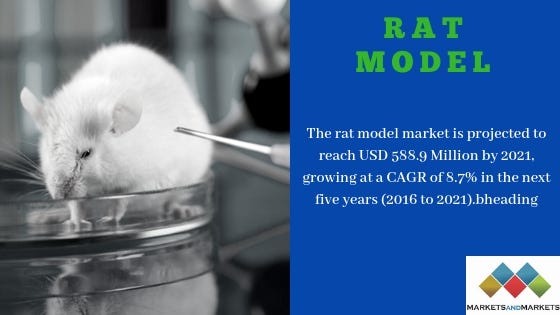 1*K1Pqw7nBqtypnf47iOhfJw Rat Model Market size, Industry Analysis and Forecast to 2021