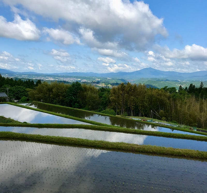 Terrace rice fields reflecting the sky.