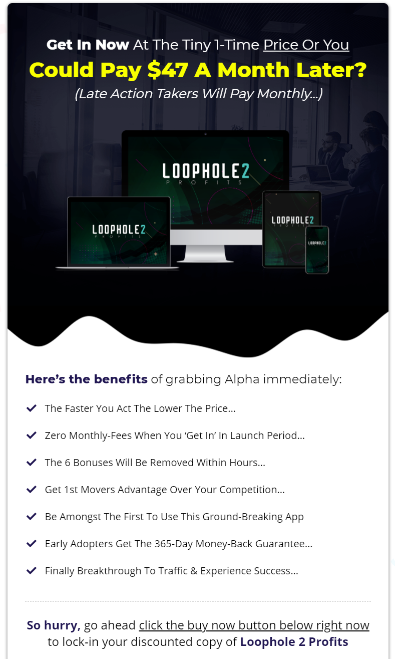 Loophole 2 Profits fe recap