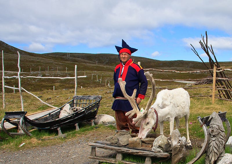 10 things you never knew about reindeer – BBSRC – Medium