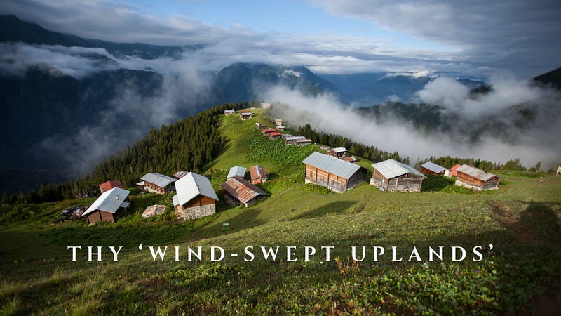 Thy ‘Wind-Swept Uplands’